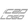 iCap Logo