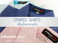 , Ҥ͵͹, ·ҧ , ô, Cotton, CVC
